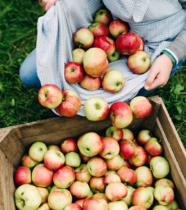 Make the Most of home.grown. Fall Favorites