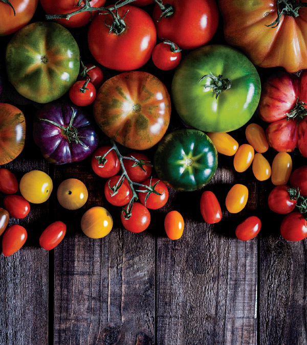 Tantalizing Tomatoes