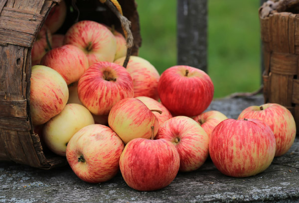 Varietal Tree Fruits