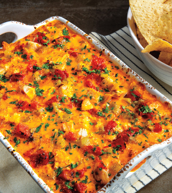 Cheesy Chicken Enchilada Dip