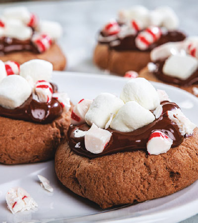 Hot Chocolate Cookies